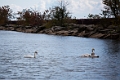 Day 7 - Port Credit